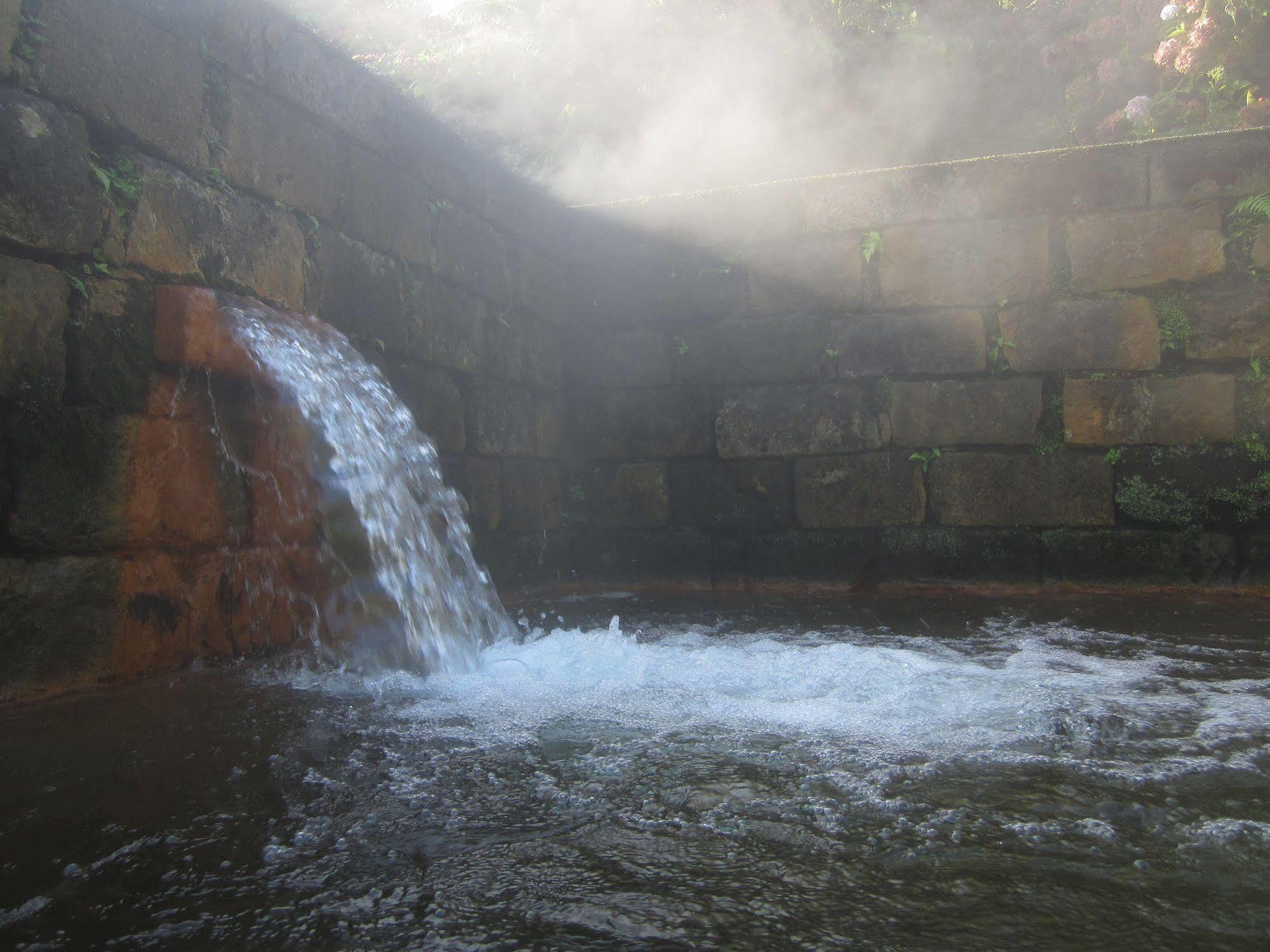 Hotel Vale Furnas (Azores)